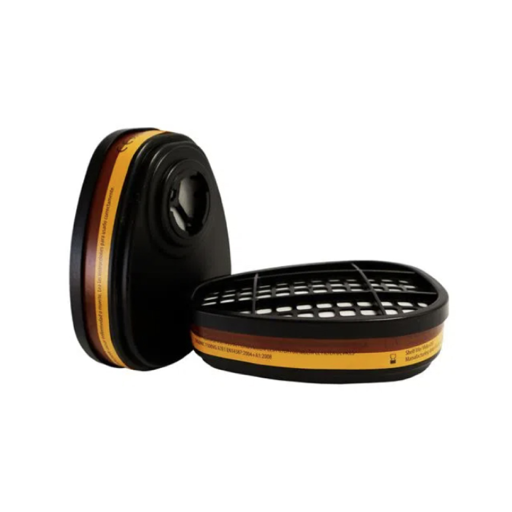 ErgonIC Filtro F500VG A1E1 VOGA Par Tipo Cartucho